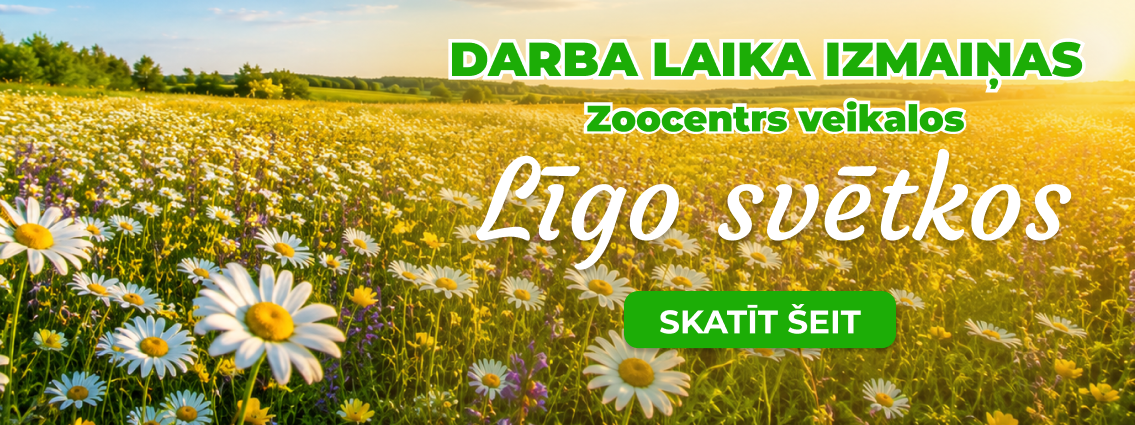 darba laiks 
